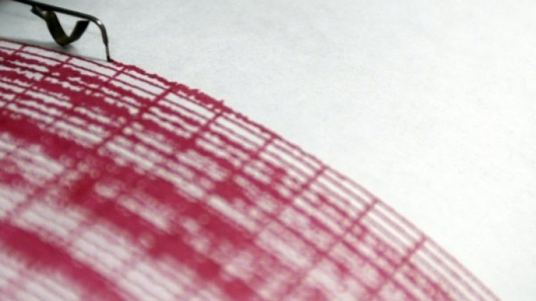 Снимка: Reuters, архив