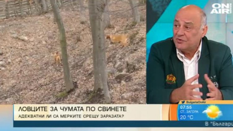 Снимка: Кадър Bulgaria ON AIR