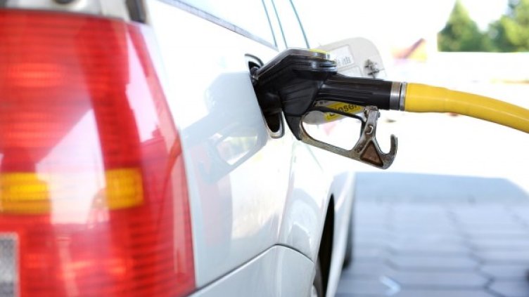 Снимка: Pixabay