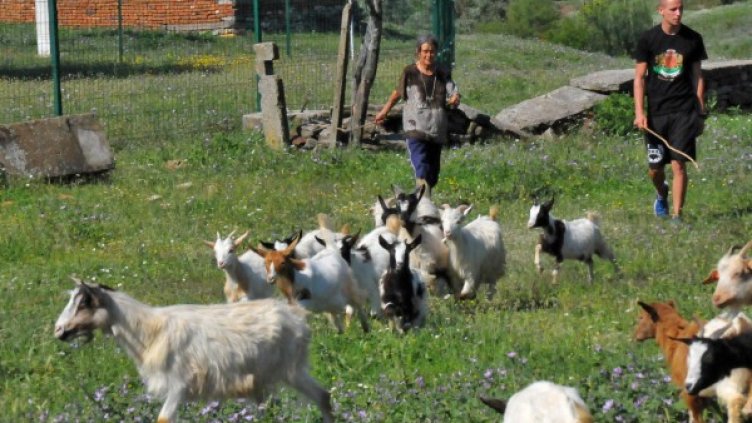 Снимка: архив, Булфото