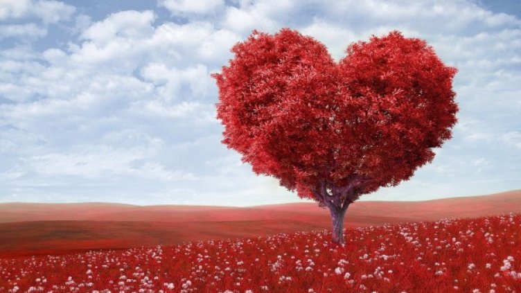 Снимка: Pexels