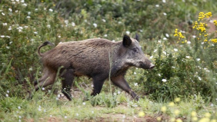 Снимка: архив Reuters