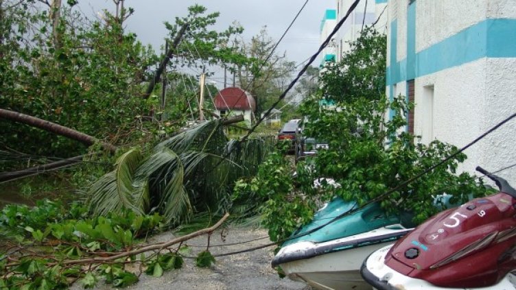 Снимка: Pixabay