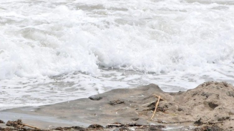 Снимка: архив Булфото