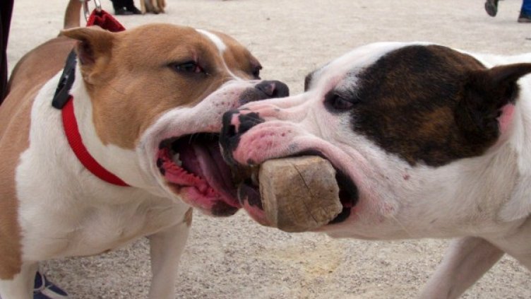 Снимка: архив Reuters