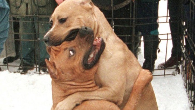 Снимка: архив Reuters