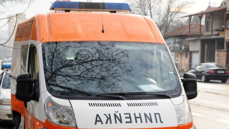 Снимка: архив Булфото