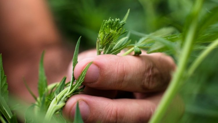 Снимка: visualhunt.com