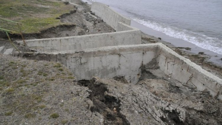 Снимка: Bulfoto, архив