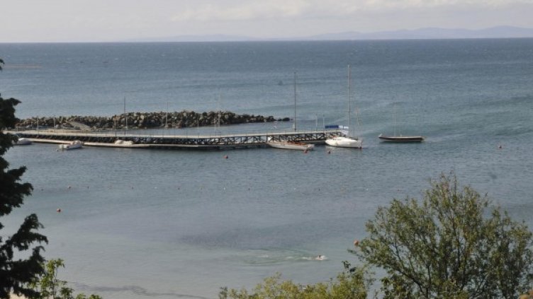 Снимка: архив "Булфото"