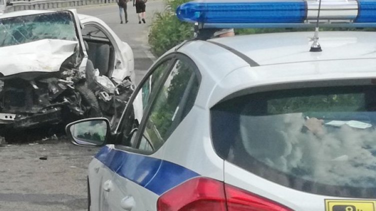 Снимка: архив "Булфото"