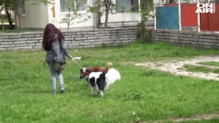 Снимка: Bulgaria ON AIR