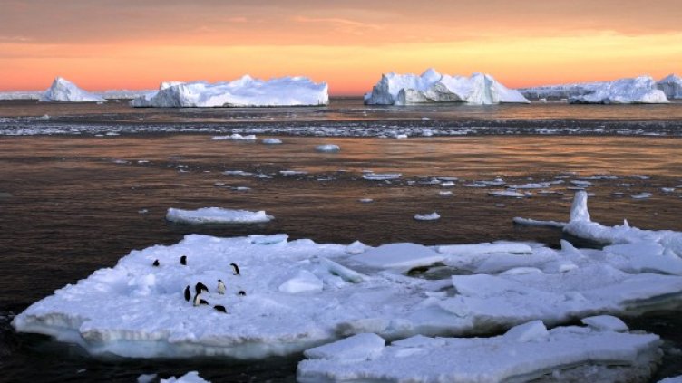 Снимка: Reuters, архив