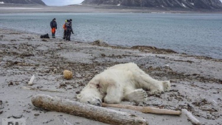 Снимка: Twitter