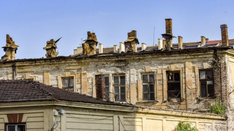 Снимка: Булфото