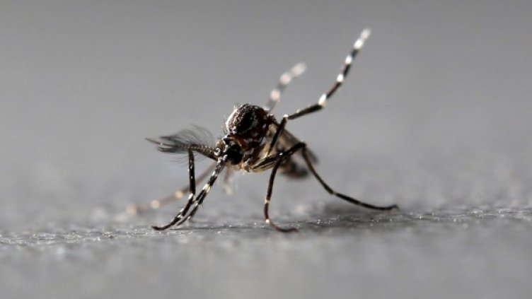 Снимка: архив Reuters