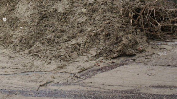 Снимка: Булфото, архив