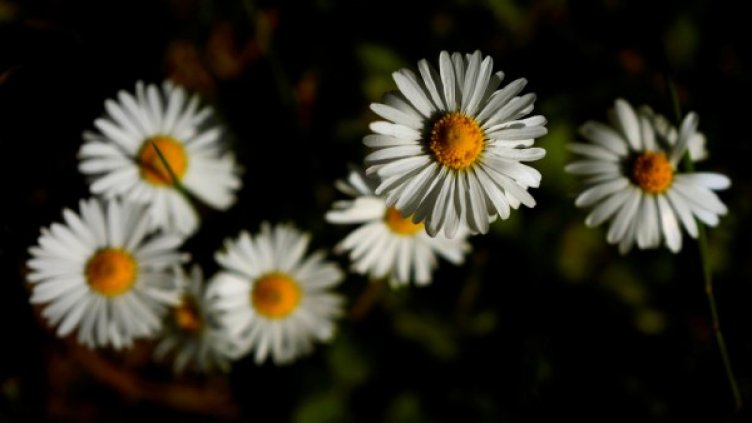 Снимка: архив, Reuters