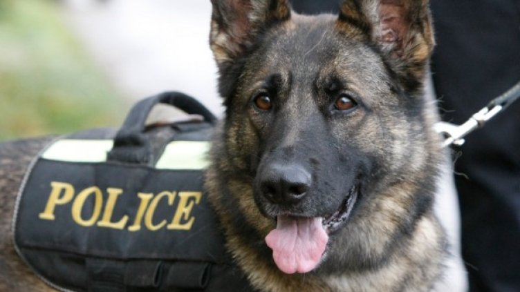 Снимка: архив, Reuters