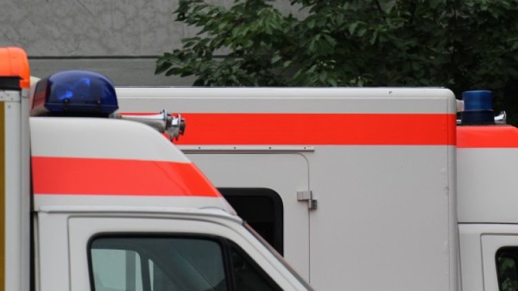 Снимка: pixabay.com