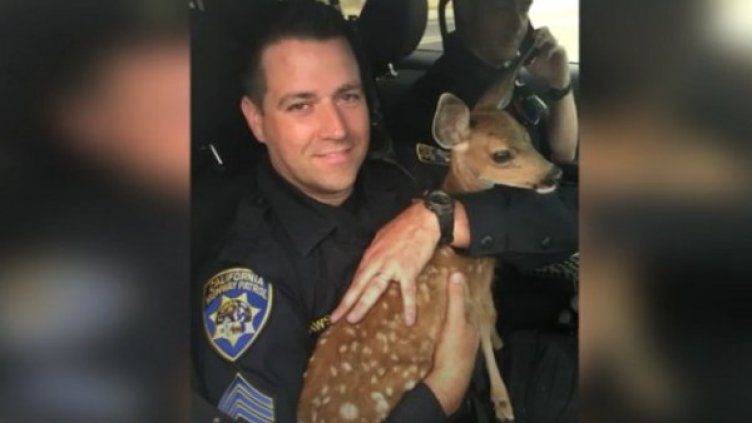 Кадър: Bulgaria ON AIR