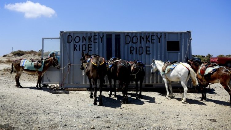 Снимка: архив, Reuters