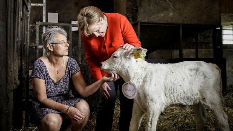 Снимка: архив, Reuters