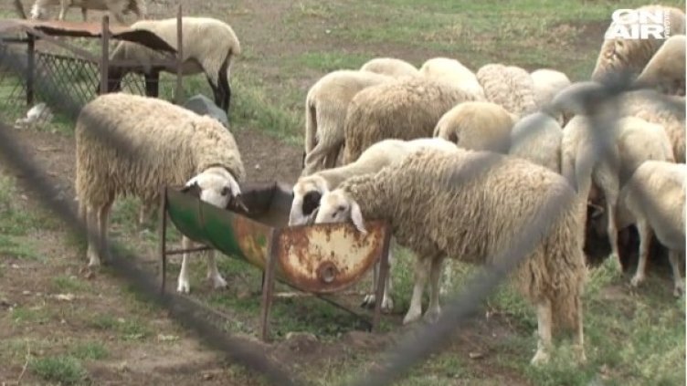 Снимка: Bulgaria ON AIR