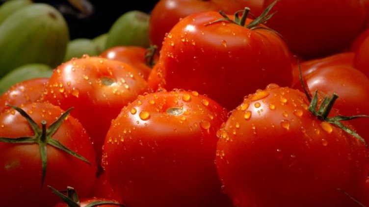 Снимка: архив, БулФото