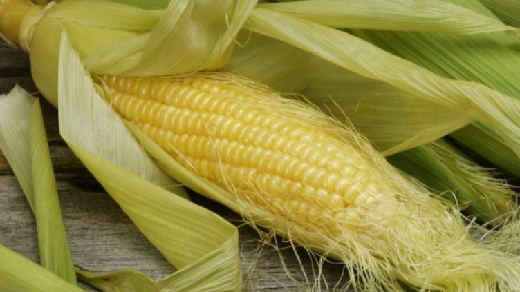 Снимка: flickr