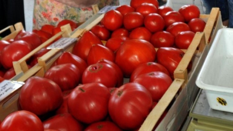 Снимка: Булфото, архив