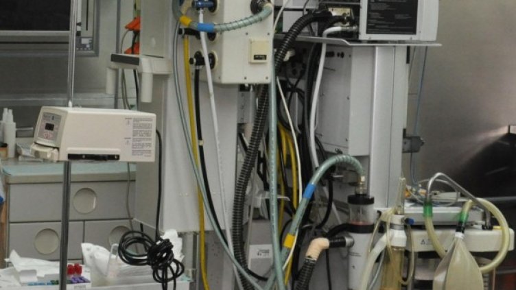 Снимка: архив, БулФото