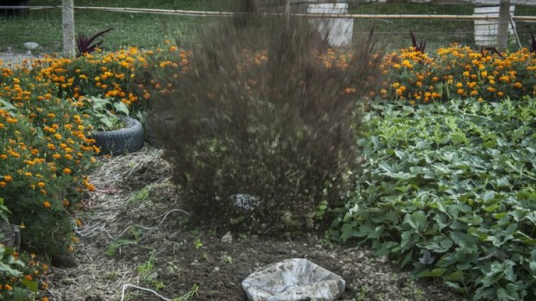 Снимка: Димитър Кьосемарлиев, Dnes.bg