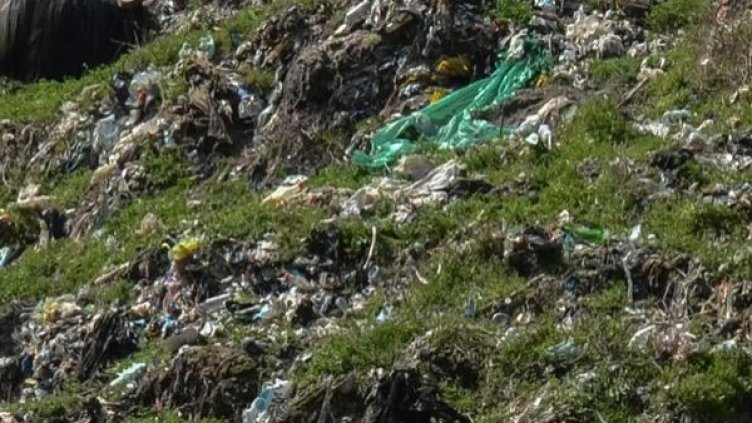 Снимка: архив, Булфото