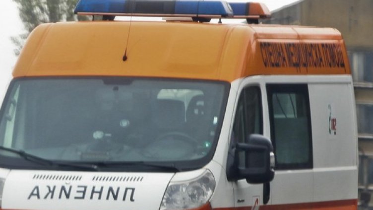 Снимка: Архив, Булфото