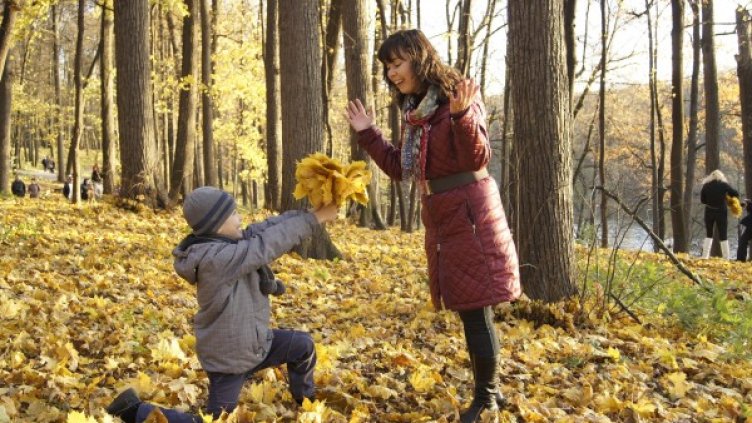 Снимка: Pixabay