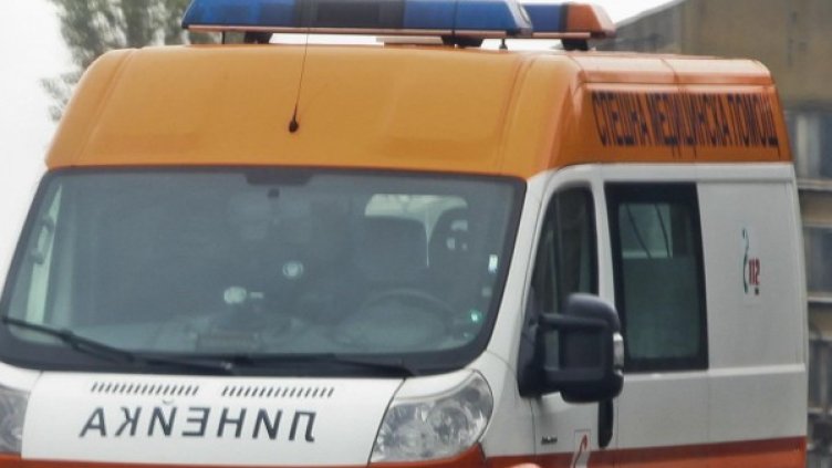 Снимка: Архив, Булфото