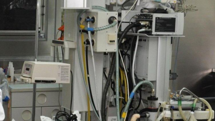 Снимка: архив, БулФото