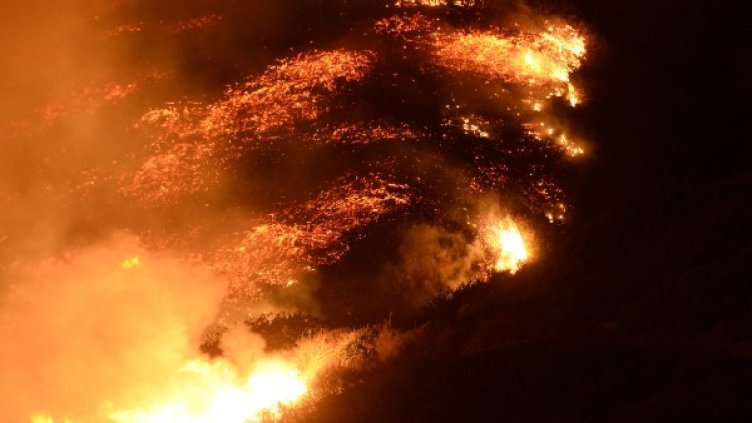 Снимка: Булфото