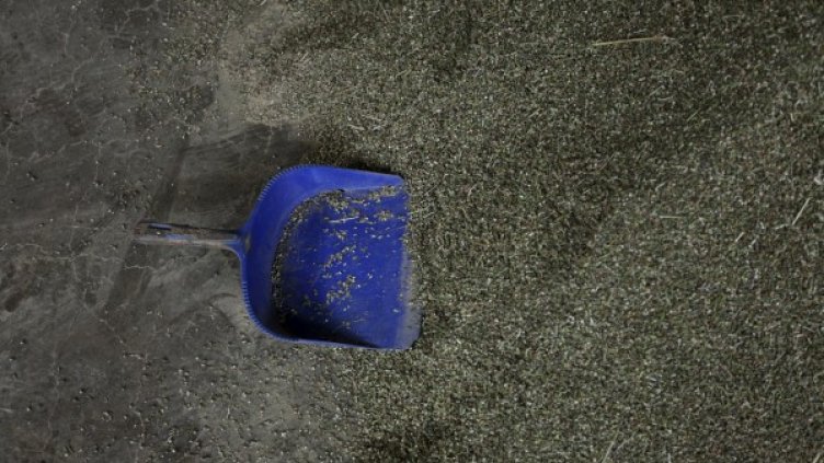 Снимка: архив, Reuters