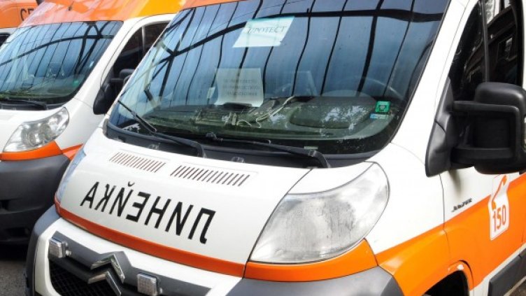 Снимка: Булфото