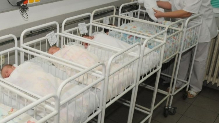 Снимка: архив Булфото