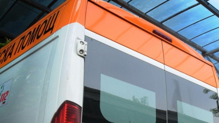 Снимка: Архив, Булфото