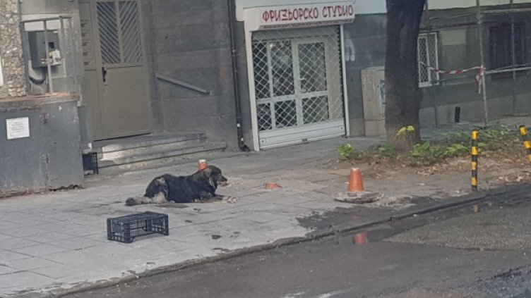 Снимка: HelpBook.info
Снимка: HelpBook.info