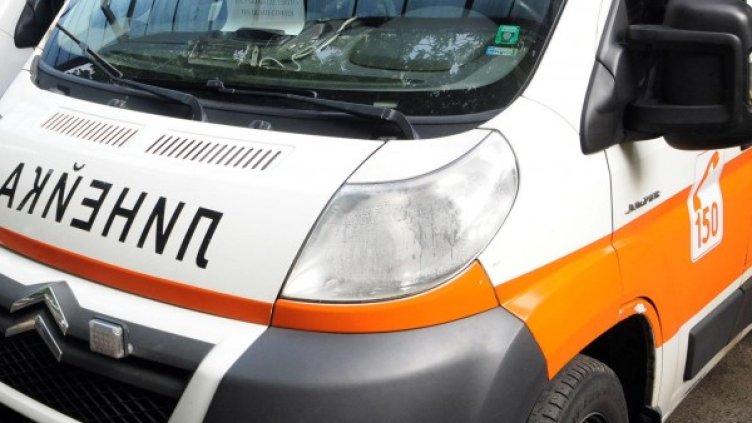 Снимка: Булфото, архив