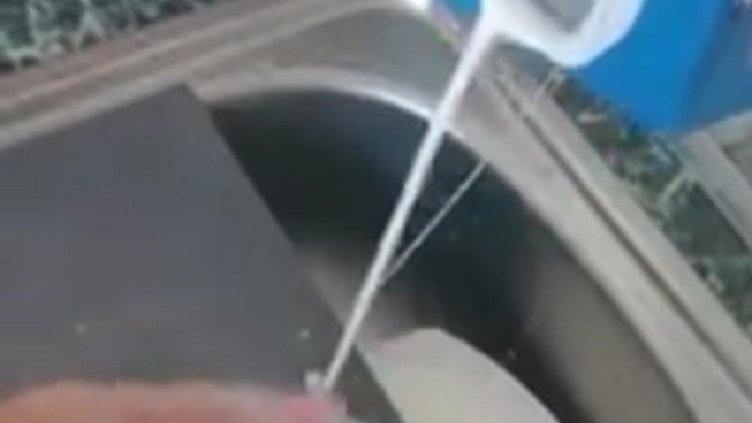 Снимка: архив, Булфото