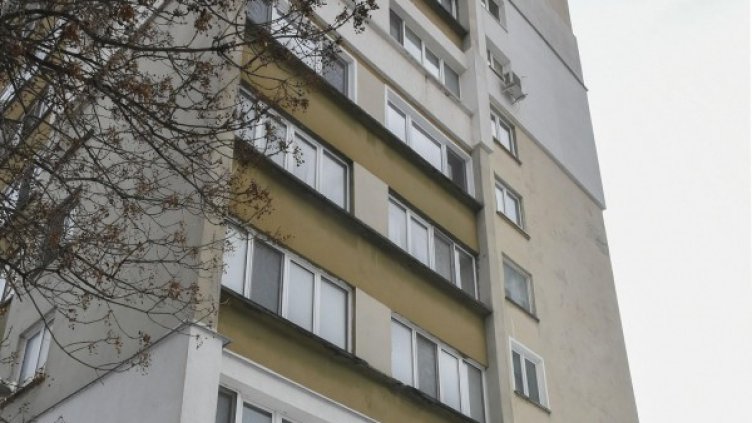 Снимка: архив Булфото