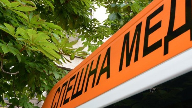 Снимка: архив "Булфото"