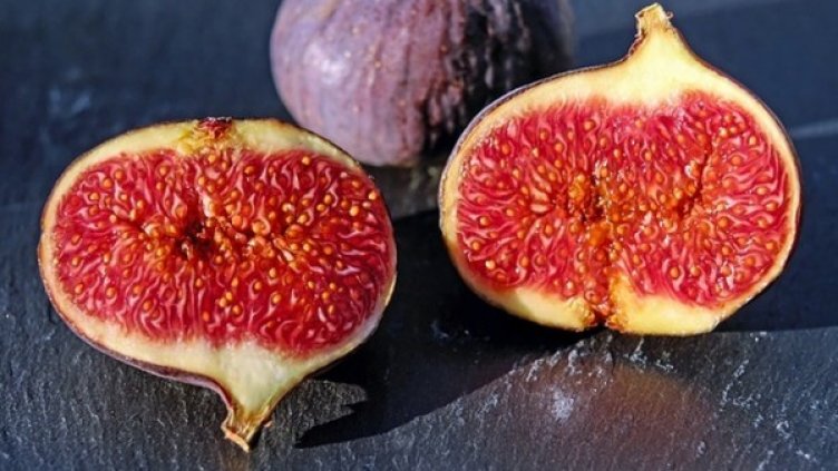 Снимка: pixabay