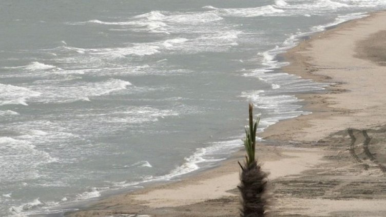 Снимка: архив, Булфото